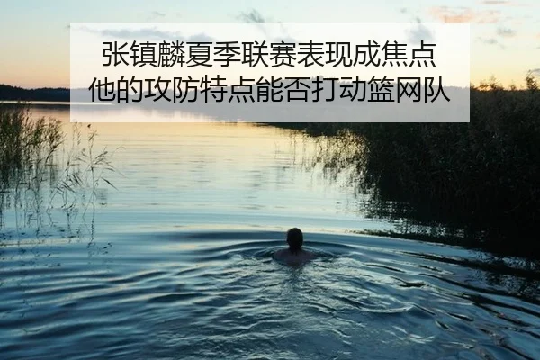 张镇麟夏季联赛表现成焦点 他的攻防特点能否打动篮网队（hth）